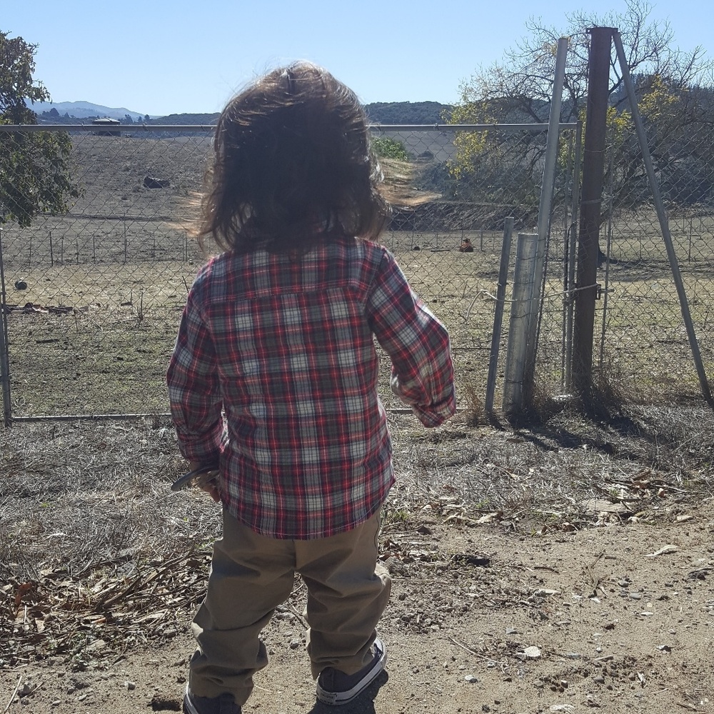 EUC boys plaid button down.